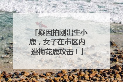 疑因拍刚出生小鹿，女子在市区内遭梅花鹿攻击！
