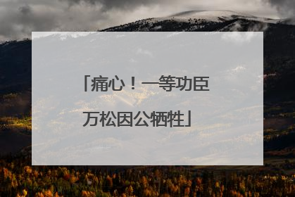 痛心！一等功臣万松因公牺牲