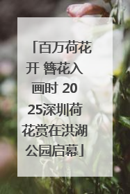 百万荷花开 簪花入画时 2025深圳荷花赏在洪湖公园启幕