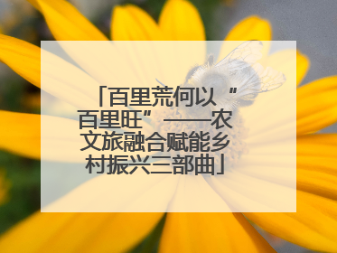 百里荒何以“百里旺”——农文旅融合赋能乡村振兴三部曲