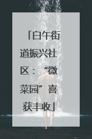 白午街道振兴社区：“微菜园”喜获丰收