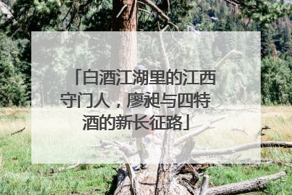 白酒江湖里的江西守门人，廖昶与四特酒的新长征路