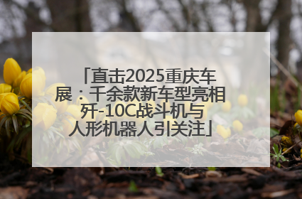 直击2025重庆车展：千余款新车型亮相 歼-10C战斗机与人形机器人引关注