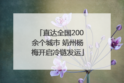 直达全国200余个城市 靖州杨梅开启冷链发运