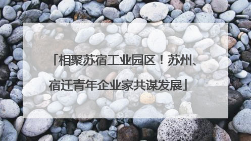 相聚苏宿工业园区！苏州、宿迁青年企业家共谋发展