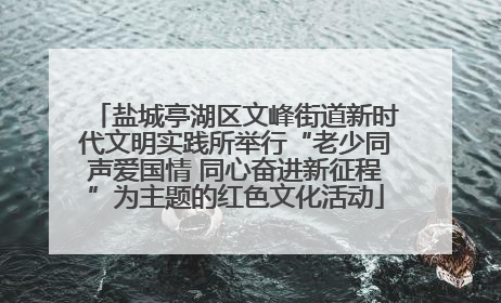 盐城亭湖区文峰街道新时代文明实践所举行“老少同声爱国情 同心奋进新征程”为主题的红色文化活动