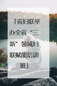 省妇联举办全省“三新”领域妇联赋能培训班