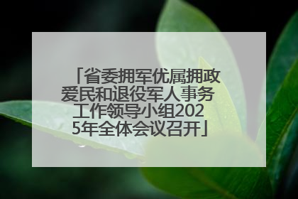 省委拥军优属拥政爱民和退役军人事务工作领导小组2025年全体会议召开