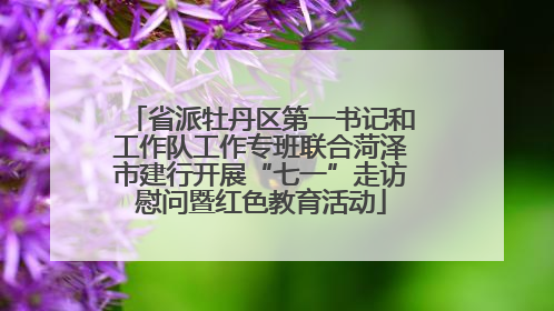 省派牡丹区第一书记和工作队工作专班联合菏泽市建行开展“七一”走访慰问暨红色教育活动