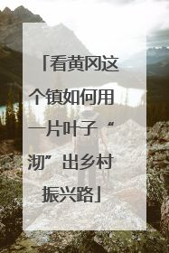 看黄冈这个镇如何用一片叶子“沏”出乡村振兴路