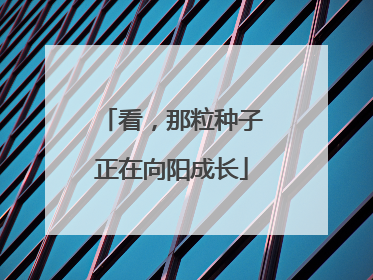 看，那粒种子正在向阳成长