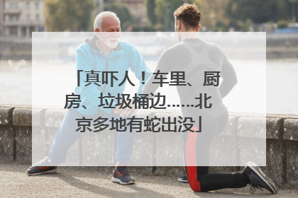 真吓人！车里、厨房、垃圾桶边……北京多地有蛇出没