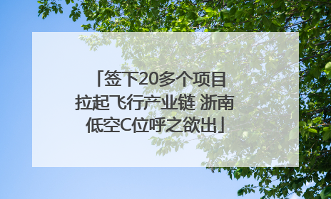 签下20多个项目 拉起飞行产业链 浙南低空C位呼之欲出