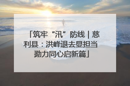 筑牢“汛”防线｜慈利县：洪峰退去显担当 勠力同心启新篇