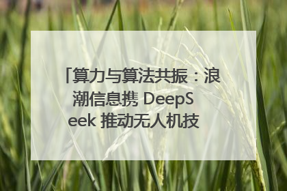 算力与算法共振：浪潮信息携 DeepSeek 推动无人机技术在舟山落地