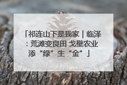祁连山下是我家｜临泽：荒滩变良田 戈壁农业添“绿”生“金”