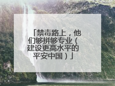 禁毒路上，他们够拼够专业（建设更高水平的平安中国）