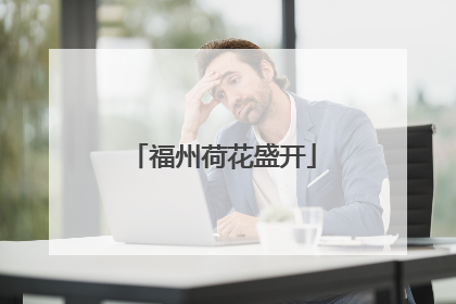 福州荷花盛开