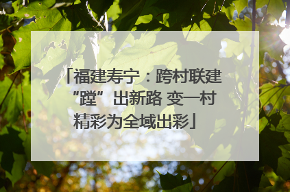 福建寿宁：跨村联建“蹚”出新路 变一村精彩为全域出彩