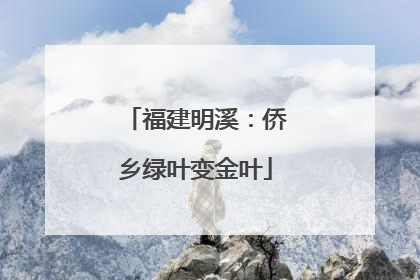 福建明溪：侨乡绿叶变金叶