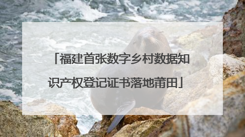 福建首张数字乡村数据知识产权登记证书落地莆田