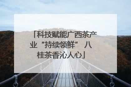 科技赋能广西茶产业“持续领鲜” 八桂茶香沁人心