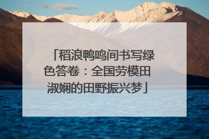 稻浪鸭鸣间书写绿色答卷：全国劳模田淑娴的田野振兴梦