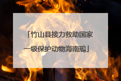 竹山县接力救助国家一级保护动物海南鳽