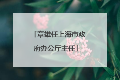 章雄任上海市政府办公厅主任