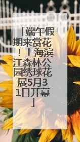 端午假期来赏花！上海滨江森林公园绣球花展5月31日开幕