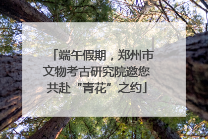 端午假期，郑州市文物考古研究院邀您共赴“青花”之约