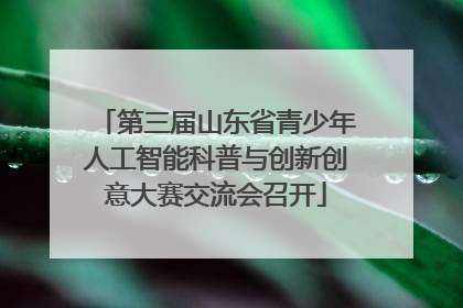 第三届山东省青少年人工智能科普与创新创意大赛交流会召开
