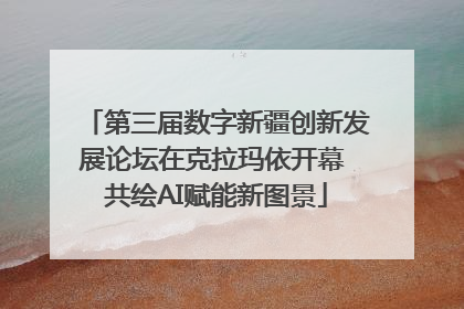 第三届数字新疆创新发展论坛在克拉玛依开幕 共绘AI赋能新图景