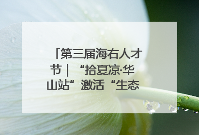 第三届海右人才节｜“拾夏凉·华山站”激活“生态聚才”强磁场