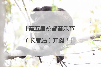 第五届禧都音乐节（长春站）开躁！