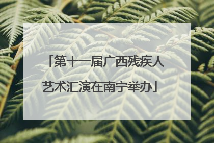 第十一届广西残疾人艺术汇演在南宁举办