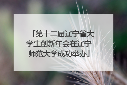 第十二届辽宁省大学生创新年会在辽宁师范大学成功举办