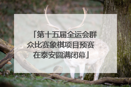 第十五届全运会群众比赛象棋项目预赛在泰安圆满闭幕