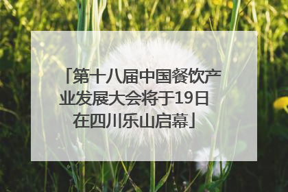 第十八届中国餐饮产业发展大会将于19日在四川乐山启幕