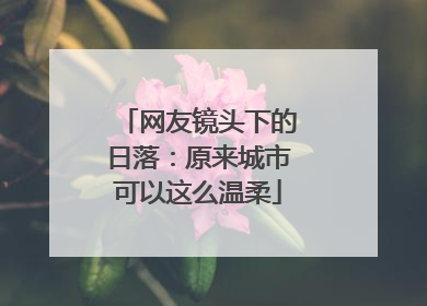 网友镜头下的日落：原来城市可以这么温柔
