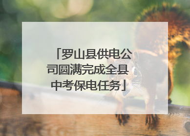 罗山县供电公司圆满完成全县中考保电任务