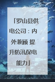 罗山县供电公司：内外兼顾 提升防汛保电能力