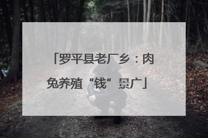 罗平县老厂乡：肉兔养殖“钱”景广