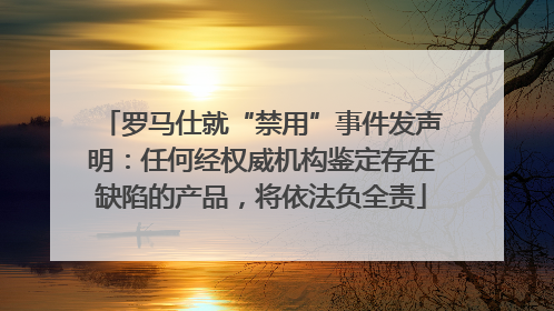 罗马仕就“禁用”事件发声明：任何经权威机构鉴定存在缺陷的产品，将依法负全责
