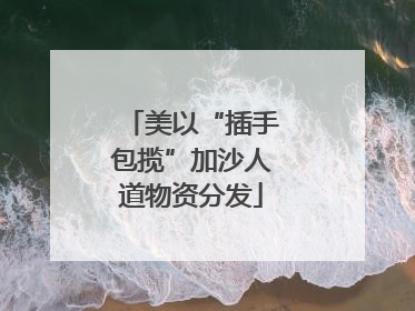 美以“插手包揽”加沙人道物资分发