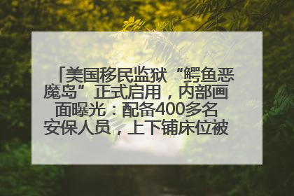 美国移民监狱“鳄鱼恶魔岛”正式启用，内部画面曝光：配备400多名安保人员，上下铺床位被罩在铁丝网里