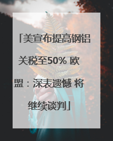 美宣布提高钢铝关税至50% 欧盟：深表遗憾 将继续谈判