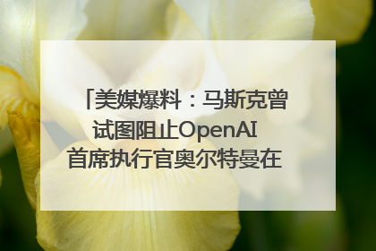 美媒爆料：马斯克曾试图阻止OpenAI首席执行官奥尔特曼在中东的AI交易