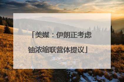 美媒：伊朗正考虑铀浓缩联营体提议