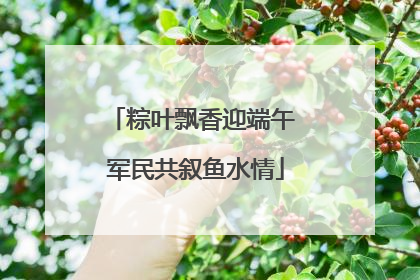 粽叶飘香迎端午 军民共叙鱼水情